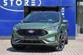 Ford Kuga FHEV Hybrid ST-Line X 4x4 Vollausstattung Grün - thumbnail 4