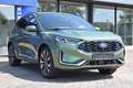 Ford Kuga FHEV Hybrid ST-Line X 4x4 Vollausstattung Vert - thumbnail 5
