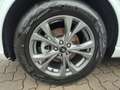 Ford Kuga ST-Line X FHEV Navi Autom RFK Klimaaut B&O ST/LE Weiß - thumbnail 3