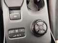 Ford Ranger Raptor 3.0l Eco V6*Raptor Pkt/Rollo/BEKLE Schwarz - thumbnail 15