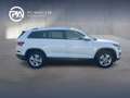 Skoda Kodiaq Ambition TDI SCR DSG Weiß - thumbnail 6