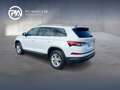 Skoda Kodiaq Ambition TDI SCR DSG Weiß - thumbnail 3