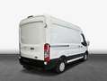 Ford Transit 290 L2H2 Lkw VA Trend ANHÄNGERKUPPLUNG Bianco - thumbnail 3