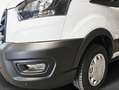 Ford Transit 290 L2H2 Lkw VA Trend ANHÄNGERKUPPLUNG Bianco - thumbnail 5