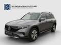 Mercedes-Benz EQB 350 EQB 350 4M Progressive Kamera Vorr.-Distronic  LED Grau - thumbnail 1