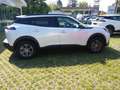 Peugeot e-2008 II style Blanc - thumbnail 5