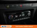 Skoda Fabia 1.0 TSI Monte Carlo Grau - thumbnail 26