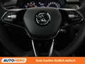 Skoda Fabia 1.0 TSI Monte Carlo Grau - thumbnail 19