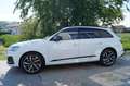 Audi Q7 60 TFSI e quattro S line Weiß - thumbnail 5