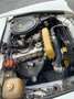 Oldtimer Fiat 124 Spider Weiß - thumbnail 16
