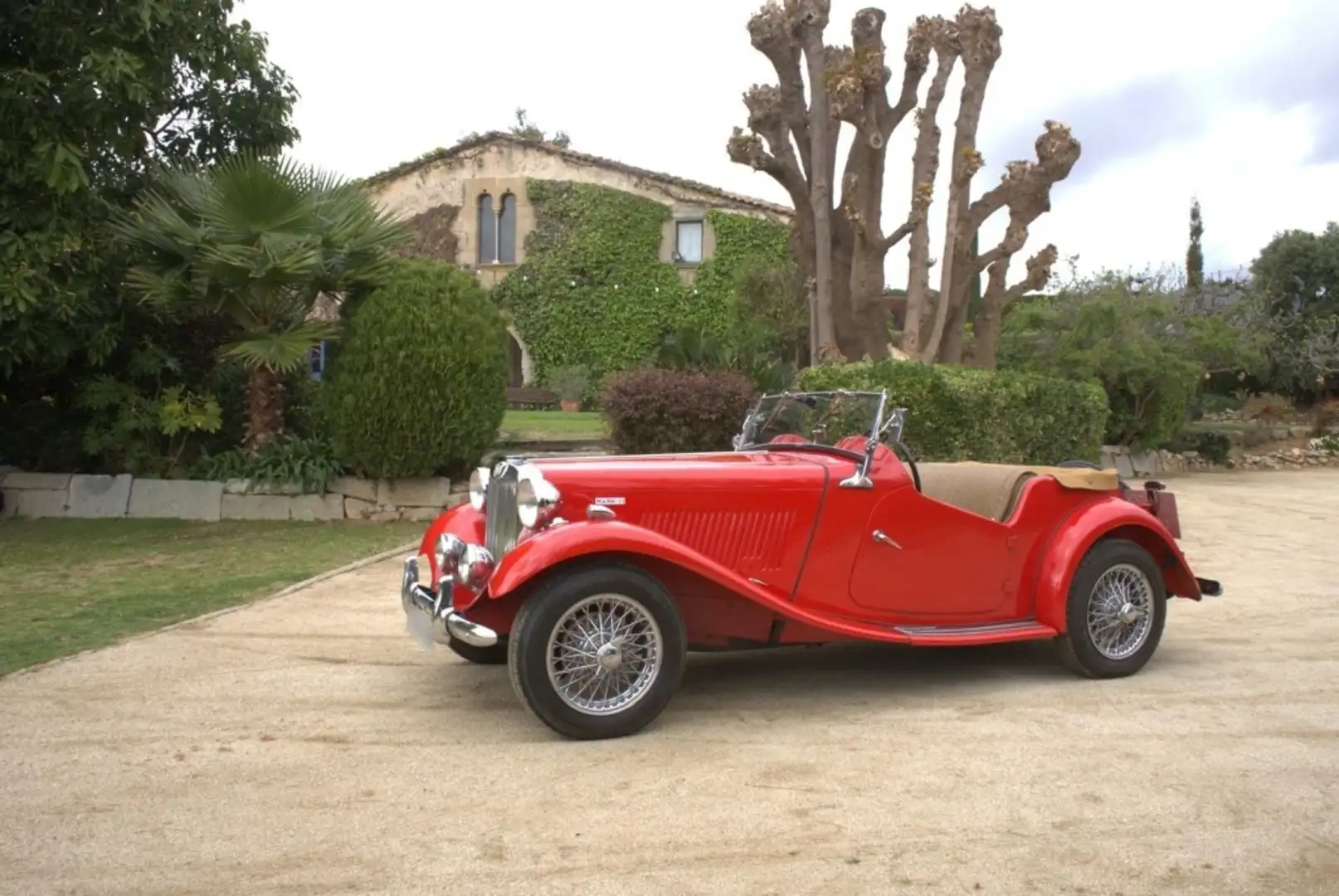 MG TD Rouge - 1