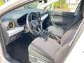 SEAT Ibiza Style,FULL-LINK,LED,SHZ,GRA,RFK,DAB Weiß - thumbnail 12