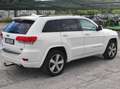 Jeep Grand Cherokee Grand Cherokee 3.0 crd V6 - solo commercianti - White - thumbnail 5