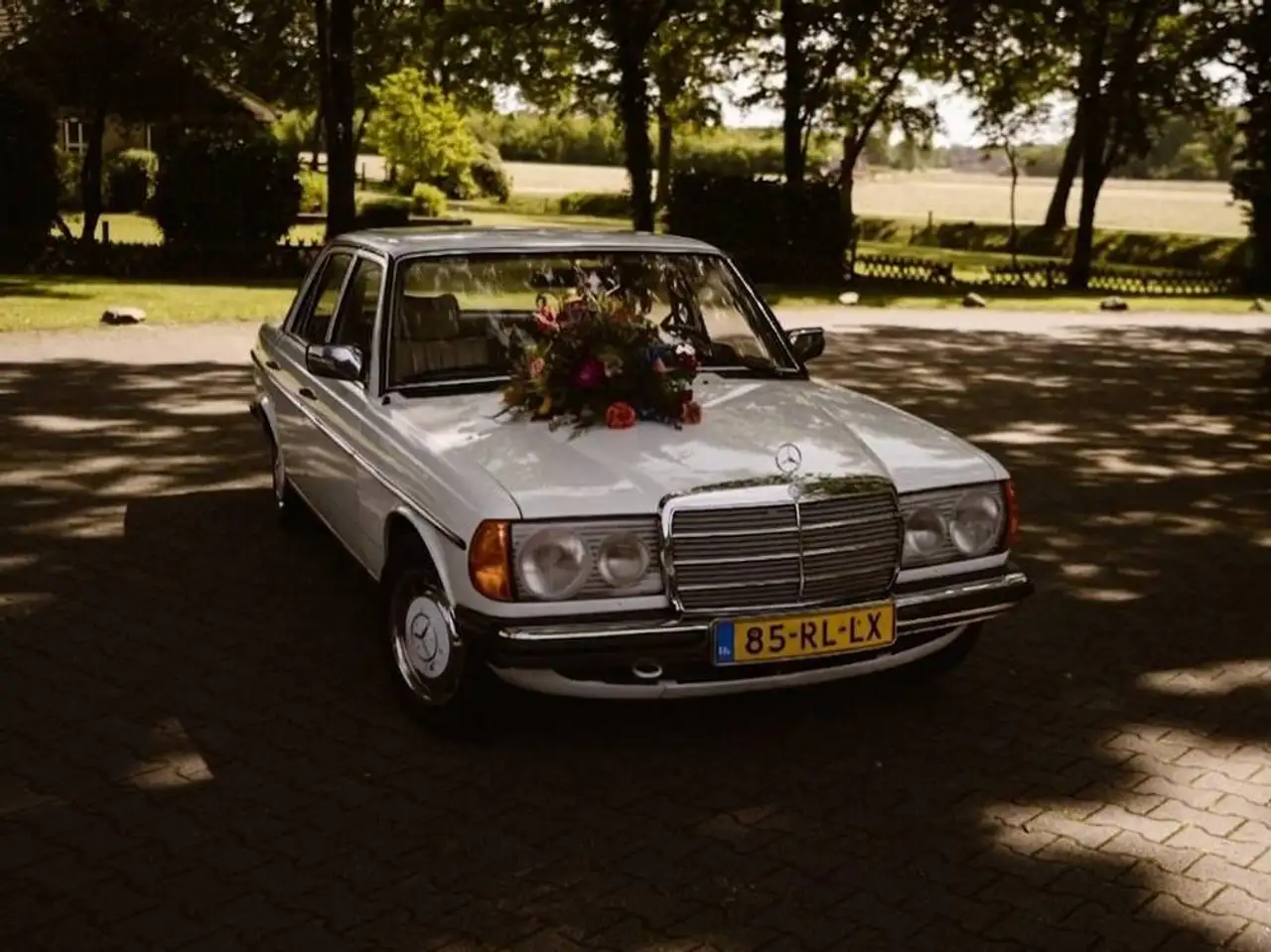 Mercedes-Benz 250, foto 2