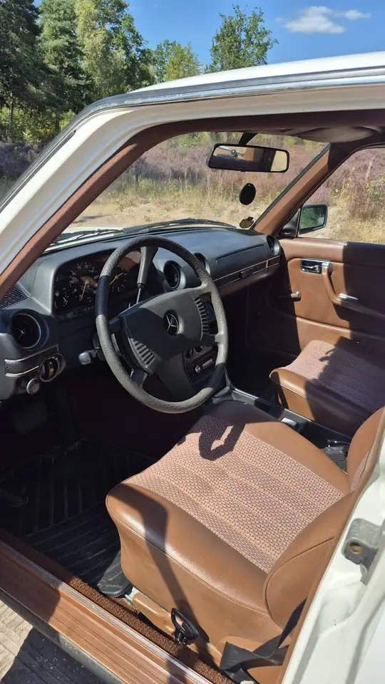 Mercedes-Benz 250, foto 7