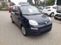 Fiat Panda Panda 1.2 Easy 69cv Blau - thumbnail 2