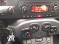 Fiat Panda Panda 1.2 Easy 69cv Blau - thumbnail 20