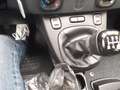 Fiat Panda Panda 1.2 Easy 69cv Blau - thumbnail 19