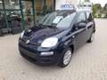 Fiat Panda Panda 1.2 Easy 69cv Blau - thumbnail 4