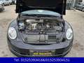 Volkswagen Beetle 1,2 TSI Cup,KLIMAAUTOM.,SHZ,PDC,TEMPOMAT Schwarz - thumbnail 11