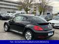 Volkswagen Beetle 1,2 TSI Cup,KLIMAAUTOM.,SHZ,PDC,TEMPOMAT Schwarz - thumbnail 9