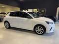 Opel Corsa 1.2 75 CV Elegance White - thumbnail 7
