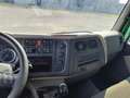 DAF LF 230 FA Grün - thumbnail 13