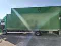 DAF LF 230 FA Grün - thumbnail 10