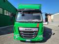DAF LF 230 FA Grün - thumbnail 2