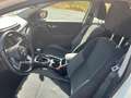 Nissan Qashqai 1.7dCI N-Tec 4x4-I Weiß - thumbnail 6