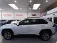 Toyota RAV 4 2.5L 220H ADVANCE Blanco - thumbnail 2