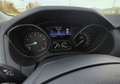 Ford Focus Focus IV 2015 SW SW 1.0 ecoboost Titanium s Grigio - thumbnail 6