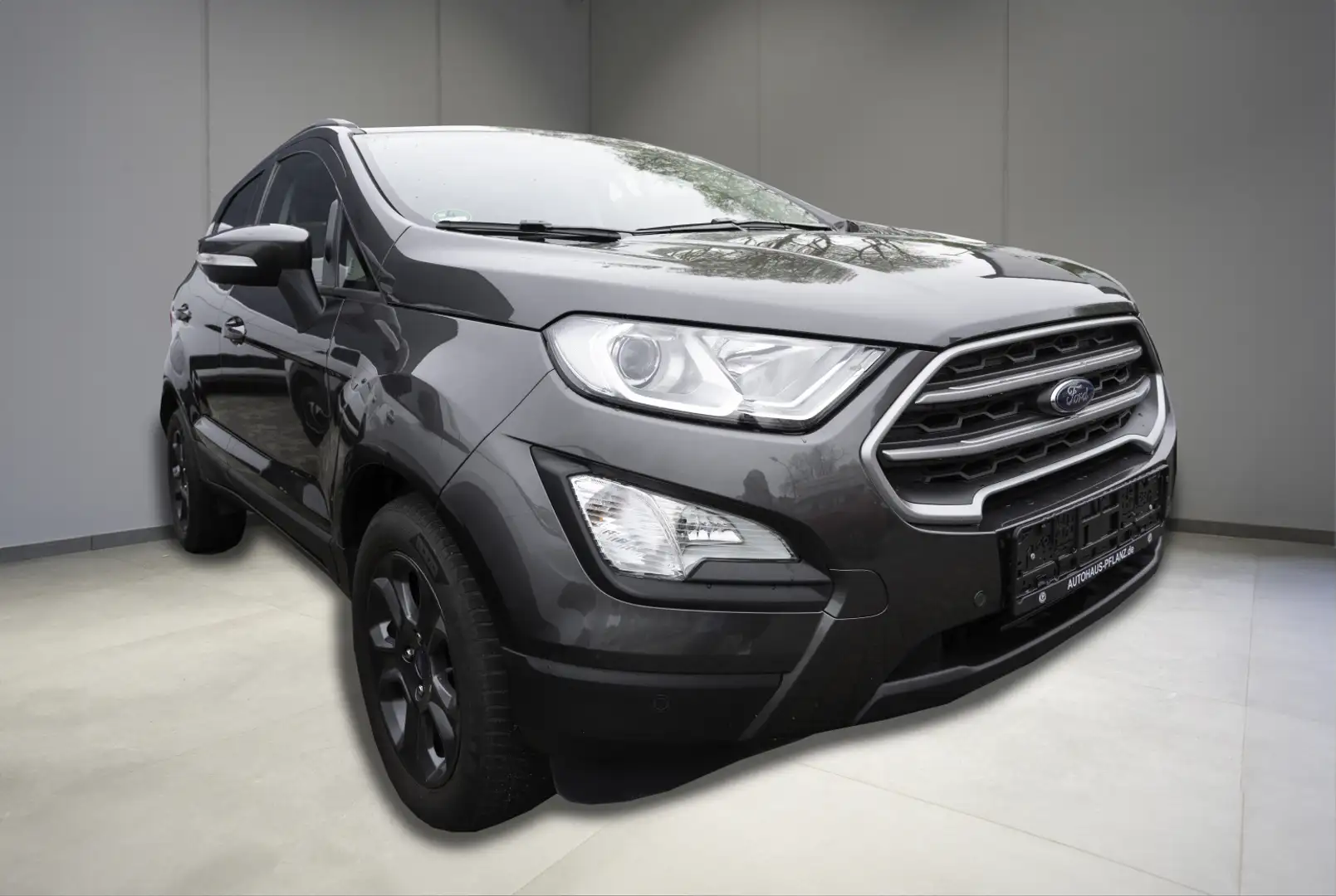 Ford EcoSport Cool & Connect 1.0 125 Grijs - 2