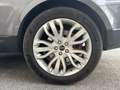 Land Rover Range Rover Sport Range Rover Sport 3.0 SD V6 DPF - BVA  HSE Grau - thumbnail 16