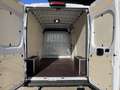 Fiat Ducato MAXI Kastenwagen L3H2 3500 140 EAT8!VOLL!TOP AK... Weiß - thumbnail 12