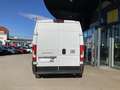 Fiat Ducato MAXI Kastenwagen L3H2 3500 140 EAT8!VOLL!TOP AK... Weiß - thumbnail 14