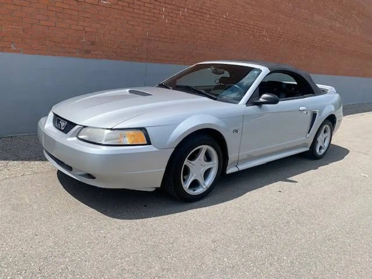Ford Mustang fotografie Ford Mustang