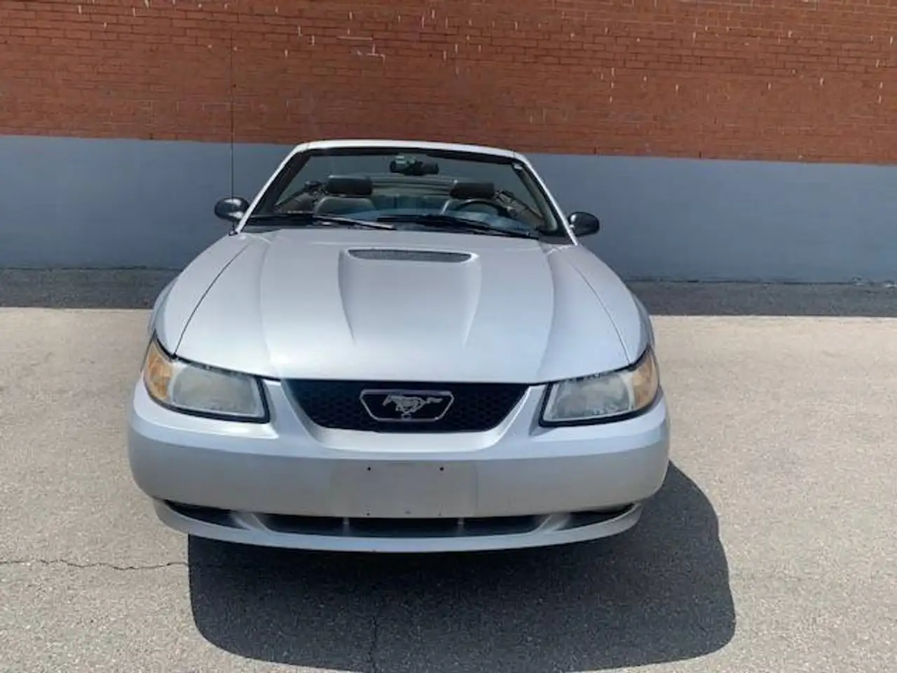 Ford Mustang fotografie Ford Mustang