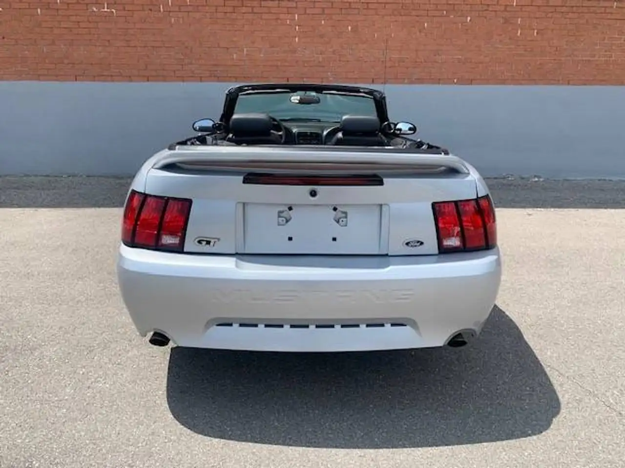 Ford Mustang fotografie Ford Mustang