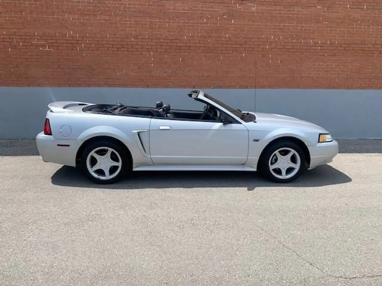 Ford Mustang fotografie Ford Mustang
