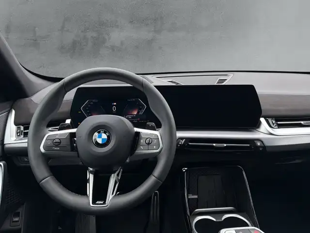 BMW X1 view 10