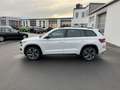 Skoda Kodiaq 2.0 TDI DSG 4x4 RS Virtual Cockpit Navi DAB ACC LE Weiß - thumbnail 3