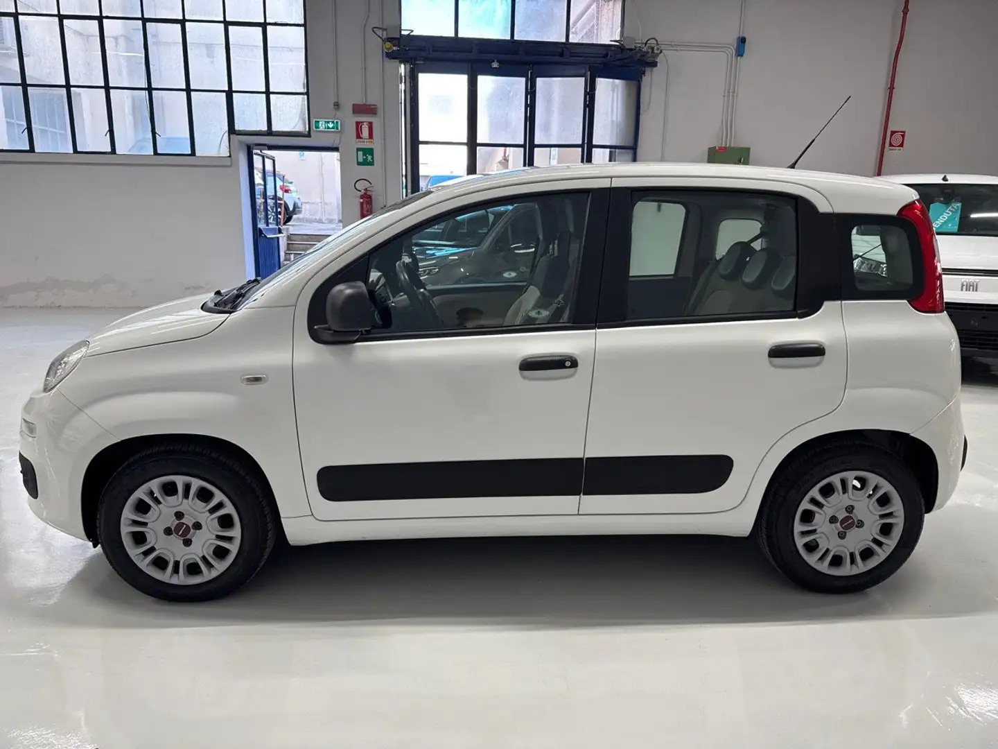 Fiat Panda 1.2 69cv E6 Easy Bianco - 2