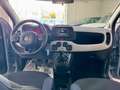 Fiat Panda CROSS 1.0 FireFly S&S Hybrid 2021 Grigio - thumbnail 12