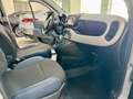 Fiat Panda CROSS 1.0 FireFly S&S Hybrid 2021 Grigio - thumbnail 13