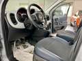 Fiat Panda CROSS 1.0 FireFly S&S Hybrid 2021 Grigio - thumbnail 11