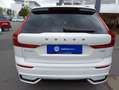 Volvo XC60 XC60 T6 AWD Plug-in Hybrid Plus Dark Business Weiß - thumbnail 16