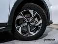Kia Ceed / cee'd 1.0 T-GDI 88KW DRIVE 120 5P - thumbnail 9