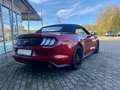 Ford Mustang Convertible 5.0 Ti-VCT V8 Aut. GT Rosso - thumbnail 4
