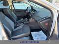 Ford Focus 1,0 EcoBoost  Ambiente Klima SHZ AHK Weiß - thumbnail 9